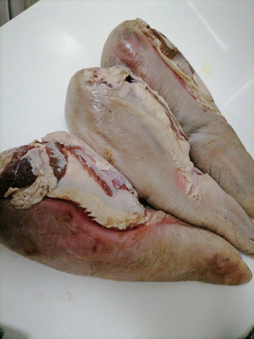 OX-LIVER